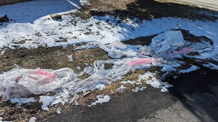 Window World of the Capital District Picture 10