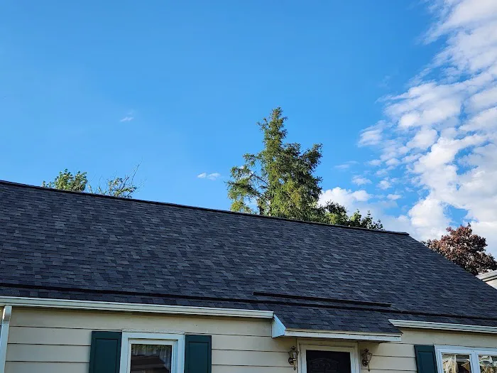 Pinnacle Roofing Inc. Picture 4