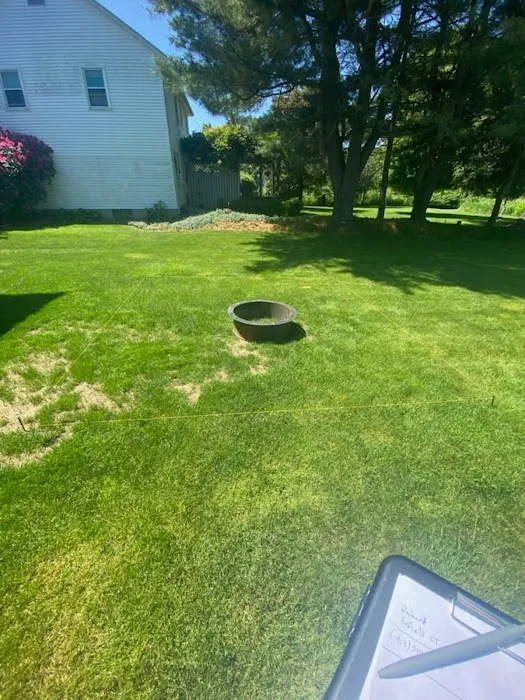 The Builders & Cleaners Picture 10