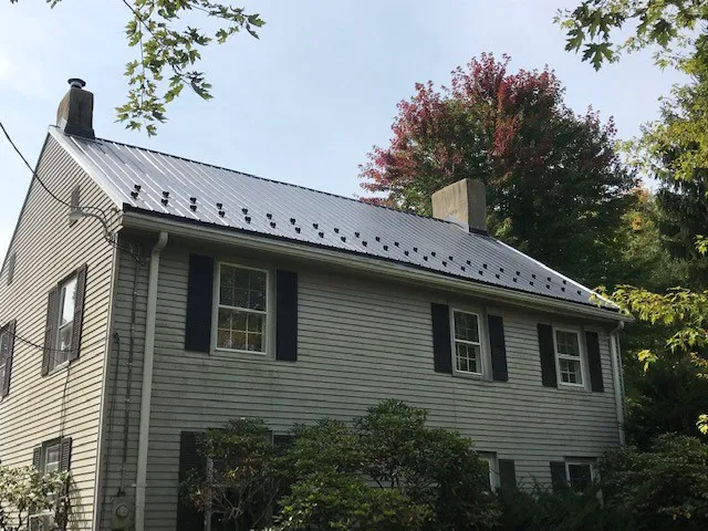 Pioneer Metal Roofing Picture 3