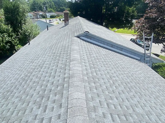 Manny Roofing Picture 10