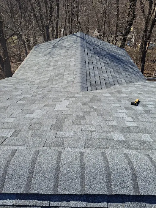 Empire Construction Picture 6