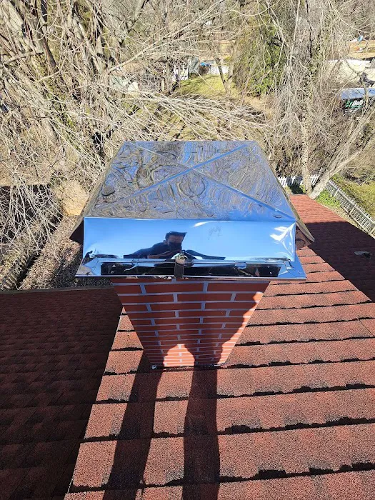 TEO Roofing Picture 1