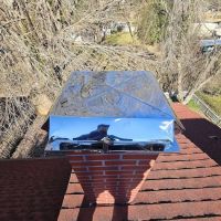 TEO Roofing ico