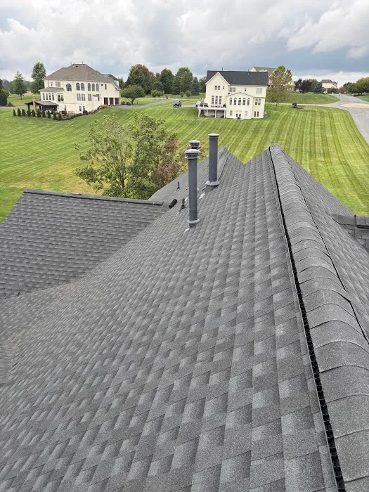 TEO Roofing Picture 3