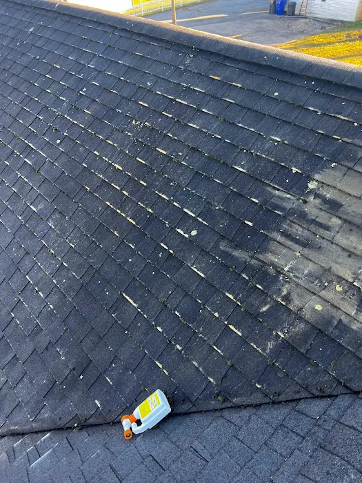 Coastal Construction Group LLC Picture 5