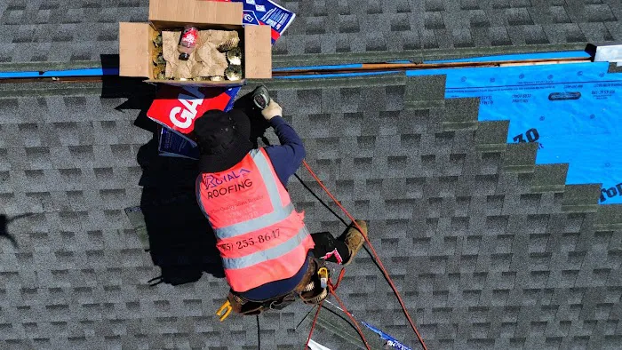 Royal Roofing Picture 4