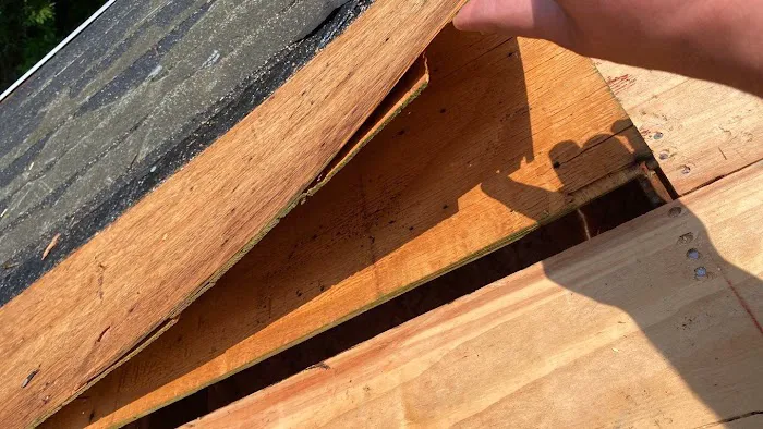 Storm Masters Picture 5