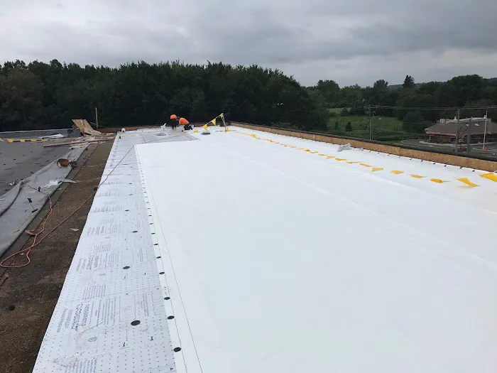 4 Elements Restoration LLC Picture 3