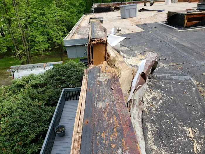 4 Elements Restoration LLC Picture 5