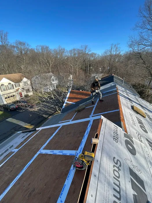 David Roofing Full Construction and Tree Remove LLC Picture 7