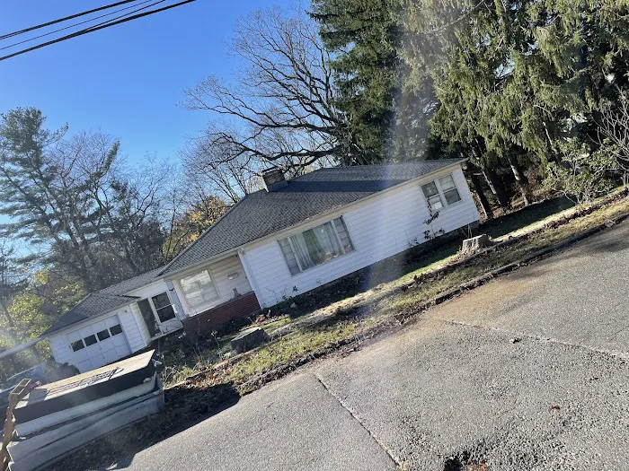 David Roofing Full Construction and Tree Remove LLC Picture 8