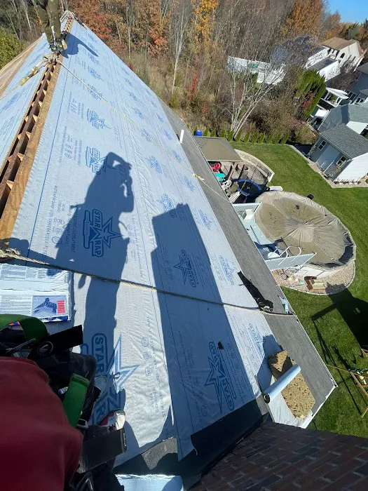 David Roofing Full Construction and Tree Remove LLC Picture 10