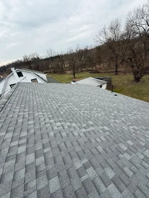 Ludwig Roofing and Repair Inc Picture 5