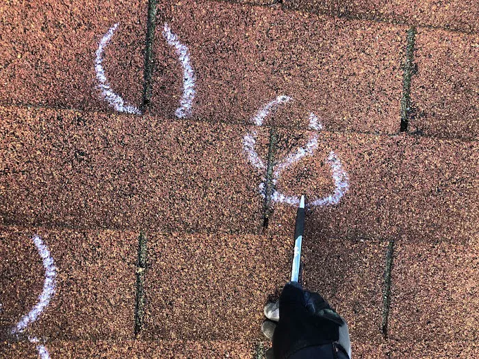 Armored Exteriors Roofing Picture 6