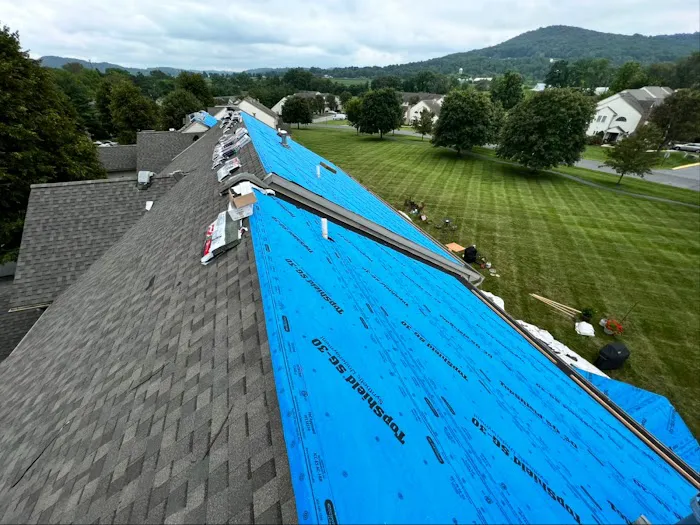 Armored Exteriors Roofing Picture 8
