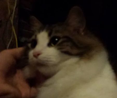 Jamestown Quality Roofing