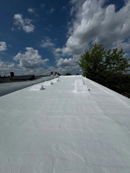 RJ Future Roofing Picture 5