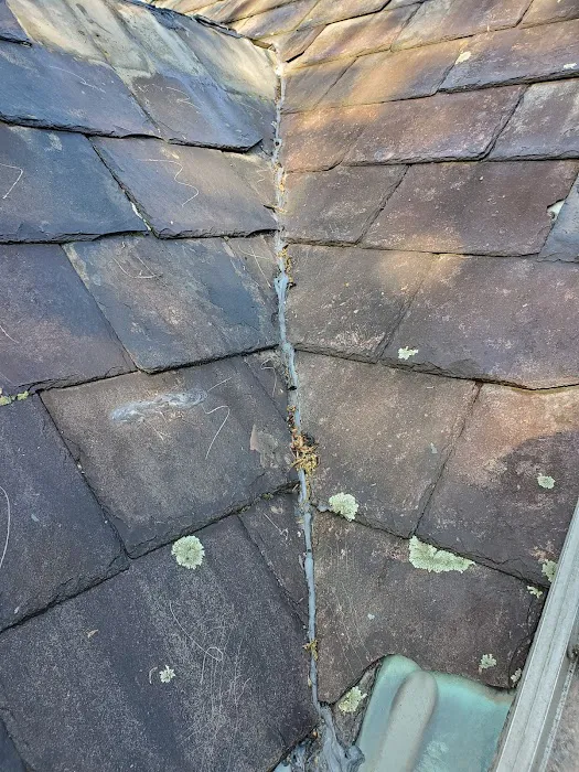 Young Slate Roofing Picture 6