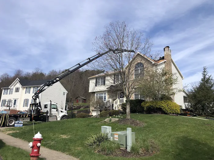 Big River Roofing - Asphalt Shingle, Metal and Flat Roofing Picture 8