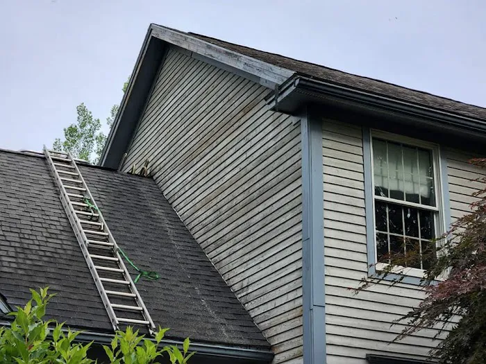 Funky Solutions Picture 2