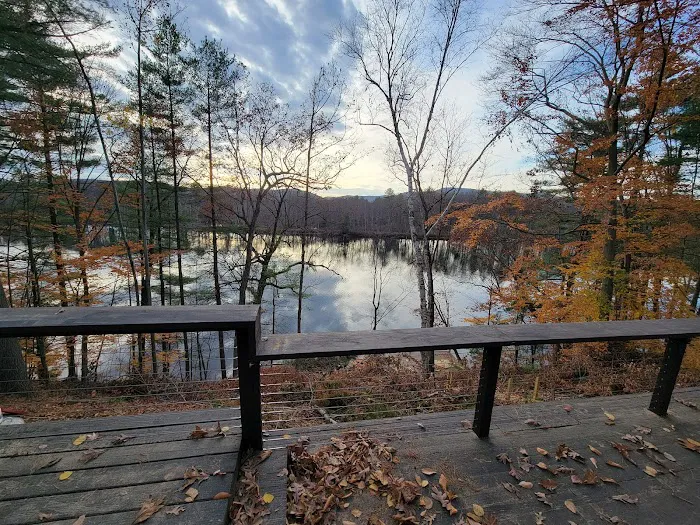 Funky Solutions Picture 3