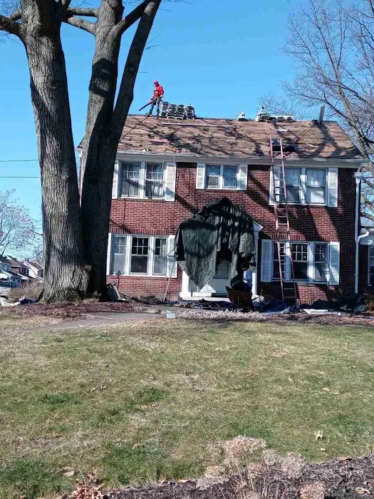 Reyes Roofing and More LLC OH Picture 2