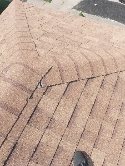 Bird and bean construction LLC Picture 1