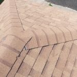 Bird and bean construction LLC