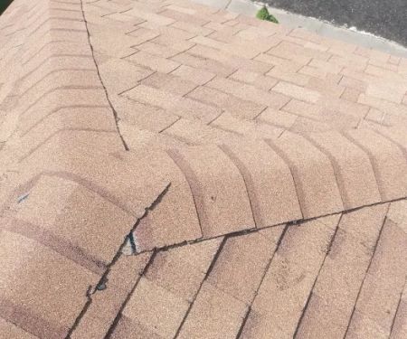 Bird and bean construction LLC