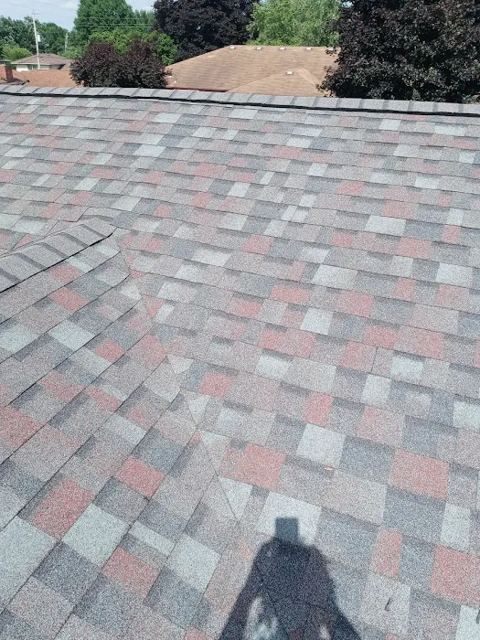 Bird and bean construction LLC Picture 3