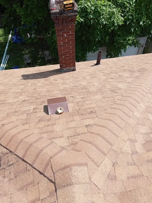 Bird and bean construction LLC Picture 5