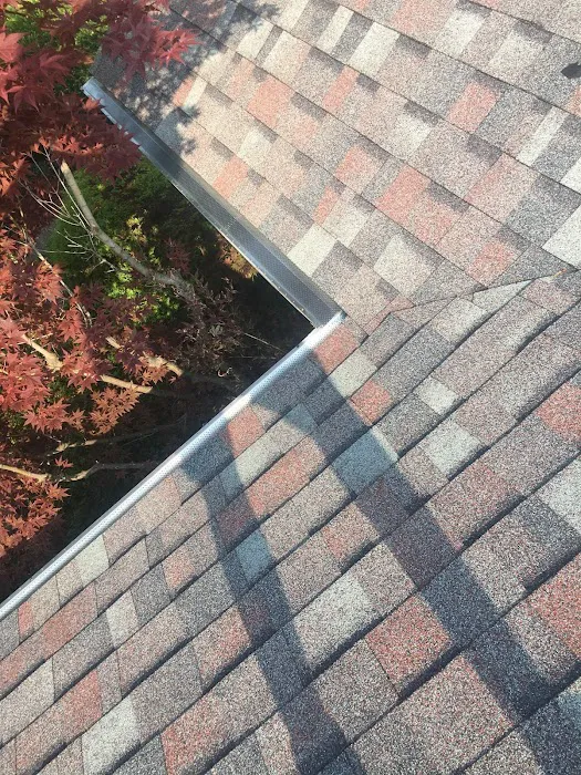Bird and bean construction LLC Picture 6
