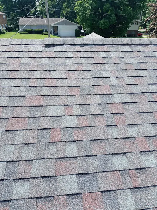 Bird and bean construction LLC Picture 7
