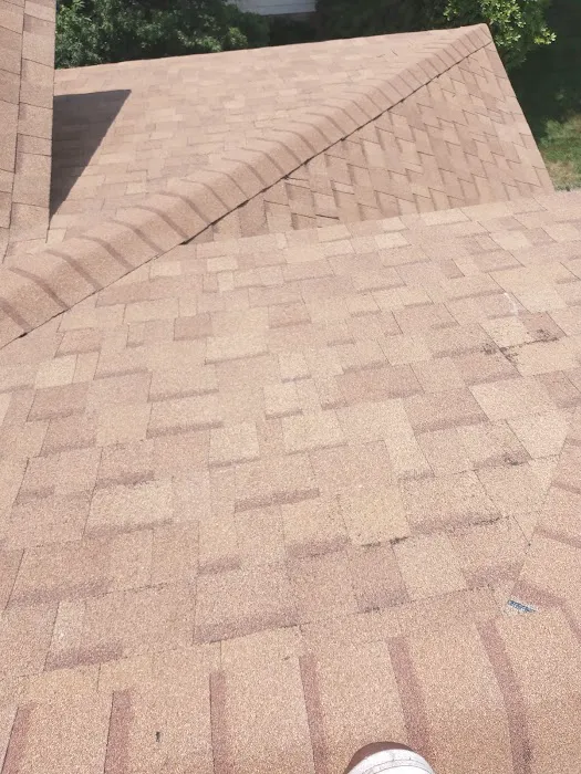 Bird and bean construction LLC Picture 9