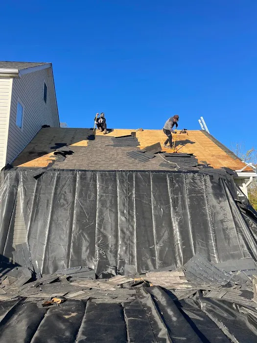 Xterior Solutions Picture 8