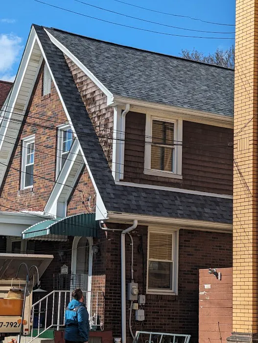 Dynamic Roofing Solutions Picture 1