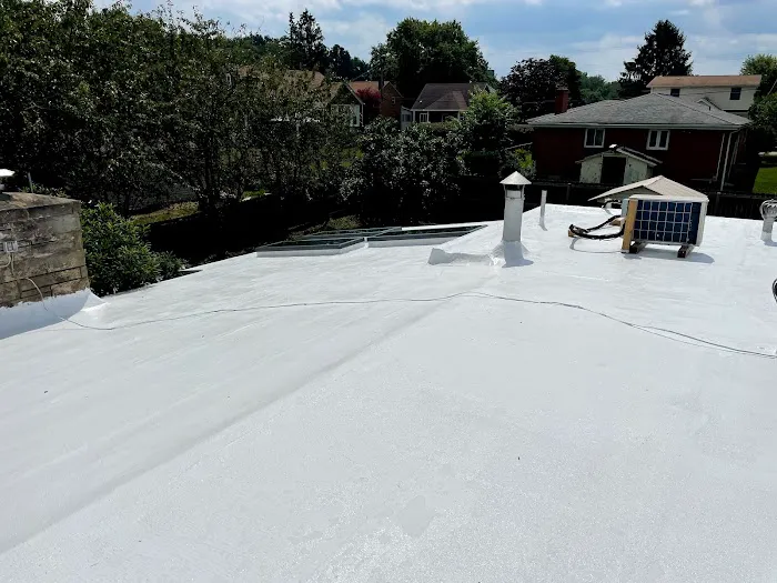 Dynamic Roofing Solutions Picture 7