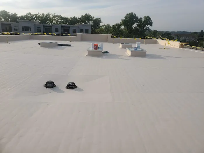 Skyway Roofing Inc. Picture 5