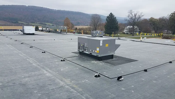 Skyway Roofing Inc. Picture 8