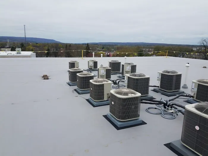 Skyway Roofing Inc. Picture 9