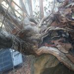 Alabek Commercial Roofing Corp.