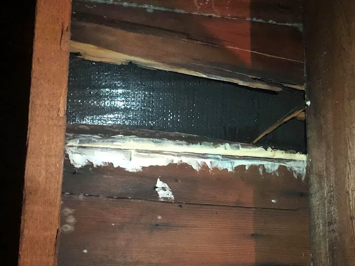 Shear Contractors and Son, LLC Picture 2