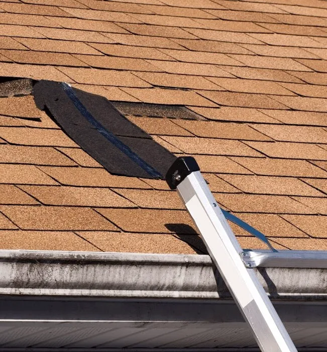 Alpine Roofing LLC Picture 5