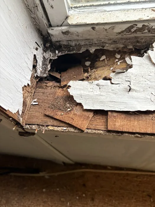 Window World of the Green Mountains Picture 5