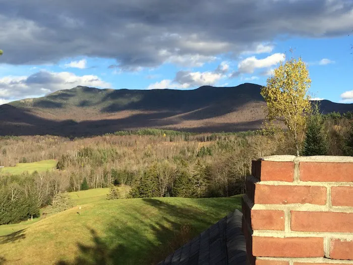 Brickliners Custom Masonry & Chimney Services Picture 9