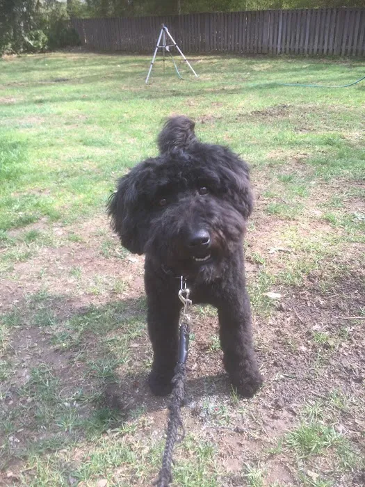 All Type Siding & Window Co Picture 2