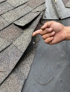 Mighty Dog Roofing of Martinsburg Picture 5