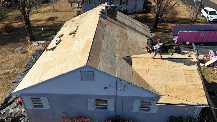 Rejoice & Restore Picture 4