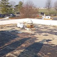 Stevenson Contracting, LLC ico
